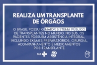 Foto: Arte: Ascom/Sintufal