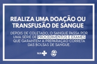 Foto: Arte: Ascom/Sintufal